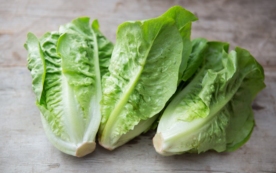 Organic Baby Romaine Lettuce Trio Coke Farms SF Bay Good Eggs